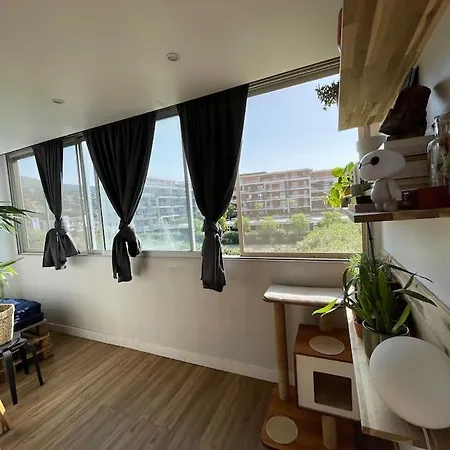Joli Duplex De 75M2 A 10Mn A Pieds De La Plage Le Lavandou Exterior foto