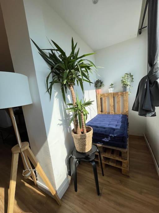 Joli Duplex De 75m2 A 10mn A Pieds De La Le Lavandou